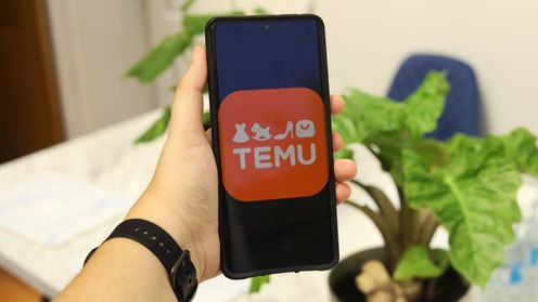 Temu - 价格实惠但需谨慎购买的在线零售商