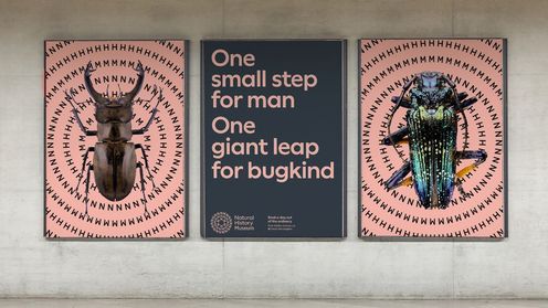 ロンドン国立歴史博物館が新しいビジュアルアイデンティティを発表